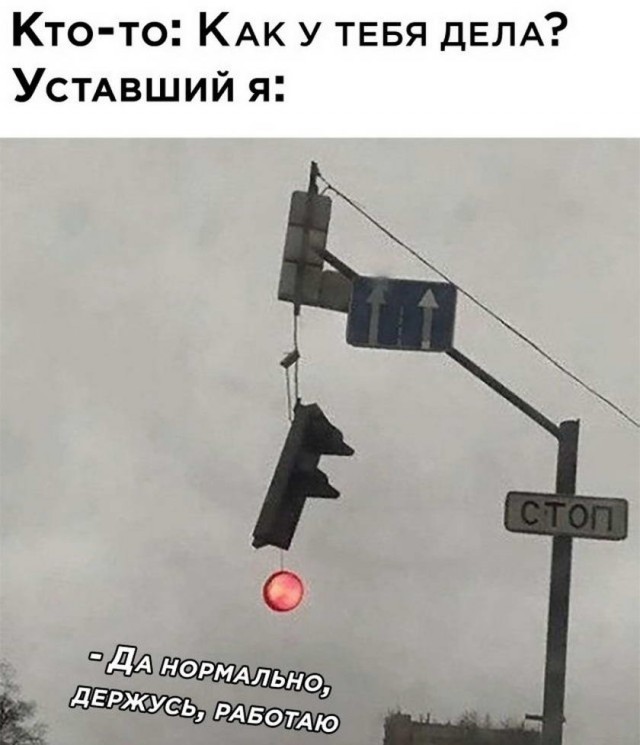 Картинки и мемы для настроения 10.02.21