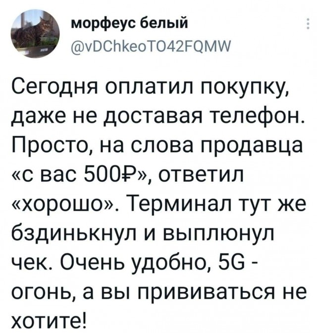 Картинки и мемы для настроения 005