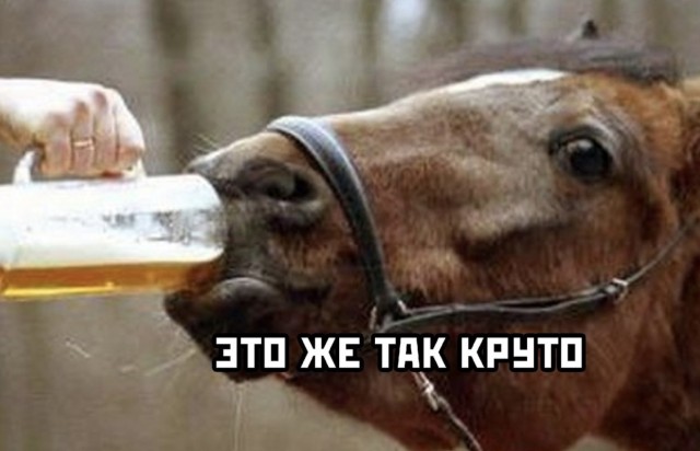 Алкопост
