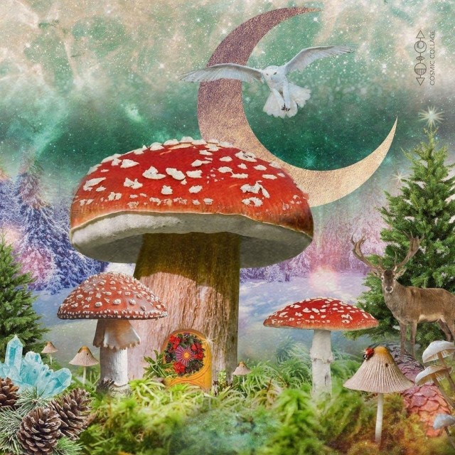 Crazy Art "Психоделика"