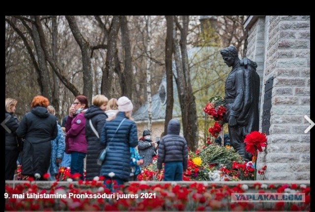 Латвийская молодежь ночью выложила ковер из цветов около памятника освободителям Риги