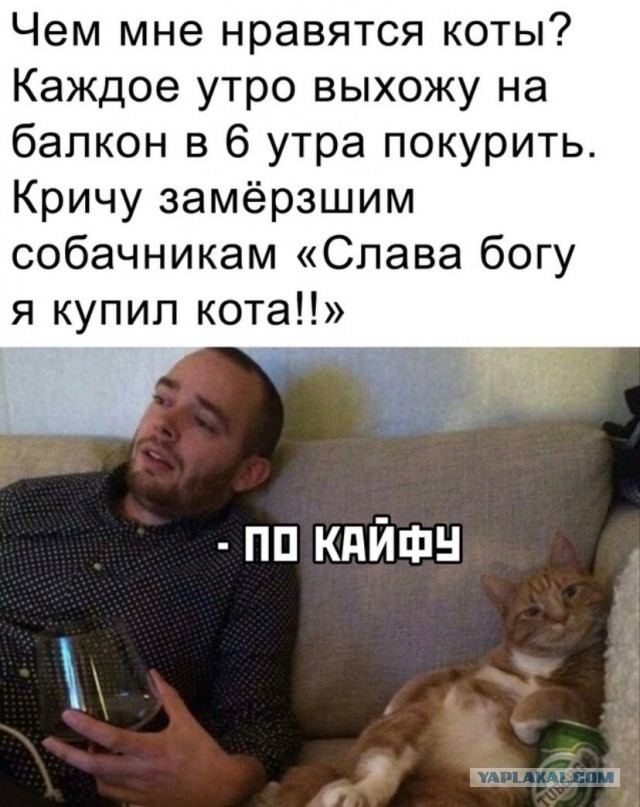 Ворон Рика