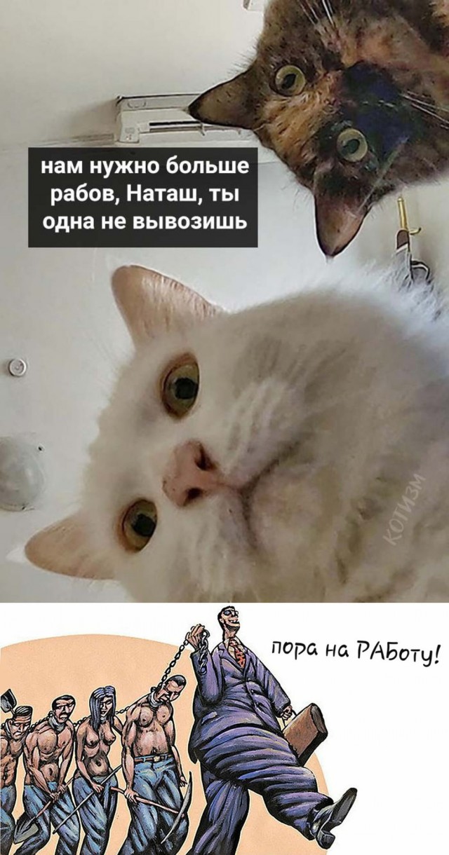 Путин внес в Госдуму проект нового закона о гражданстве