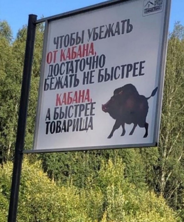 Мозгокекс в текстах