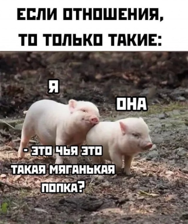 Картинки и мемы, всем отличных выходных