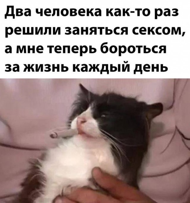Так себе картинки 24.04.22