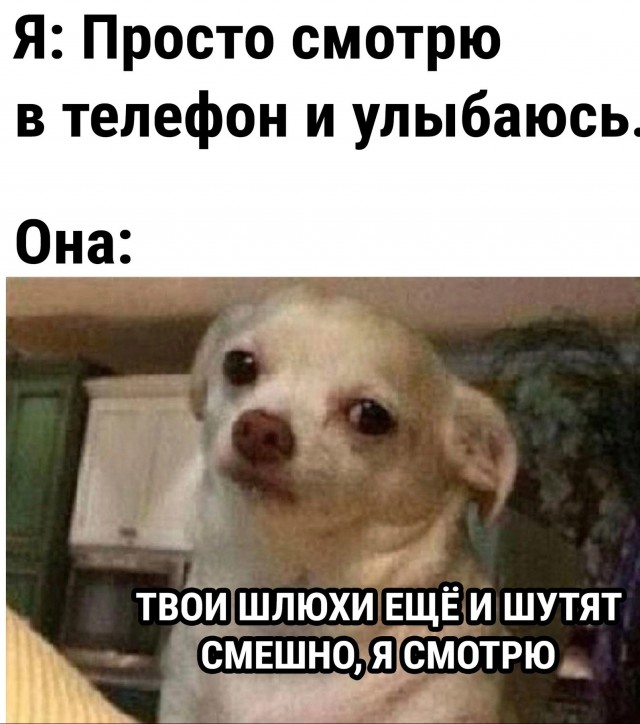 Картинки 04.07.22