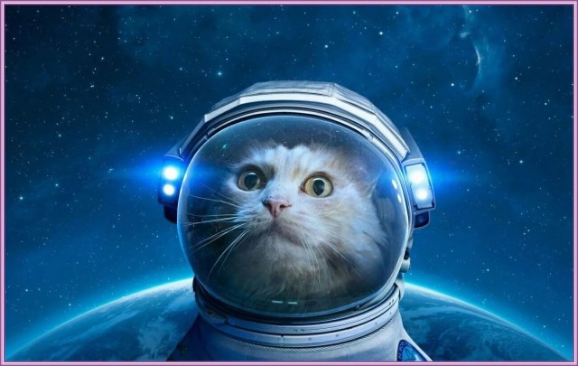 Нет времени объяснять