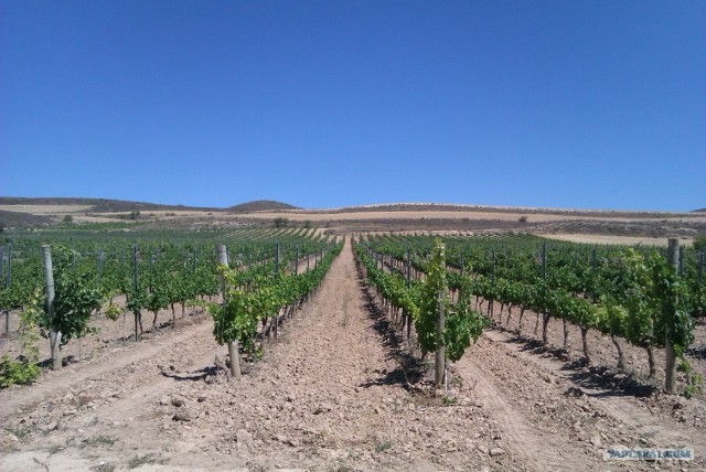 500 км. по Испании пешком