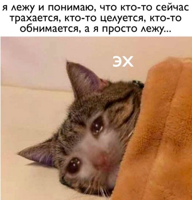 Немного мемчиков. Для взрослых. Часть 16