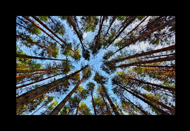 Поделимся красивыми фото с телефона?