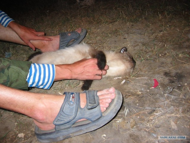 Хороший отдых