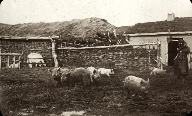 Сибирские казаки на службе и дома. Альбом 1911 года