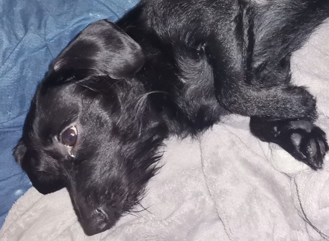 До и после операции