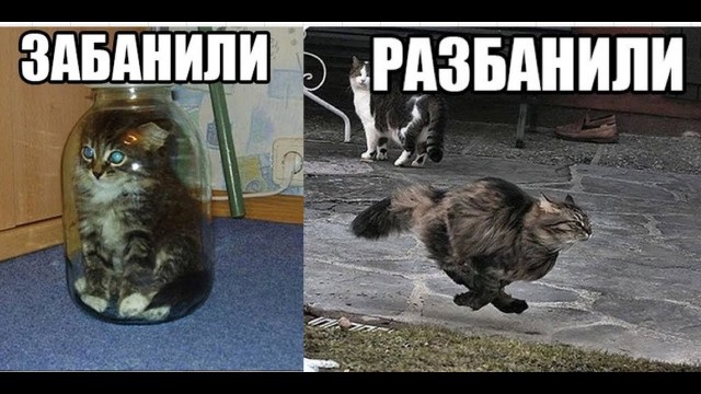 Нуштош 04.02.2023