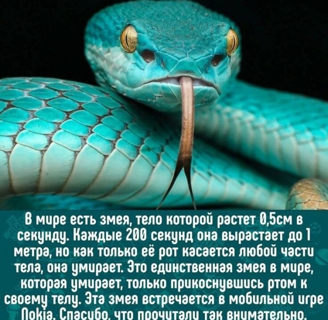 Немного картинок для настроения - 151