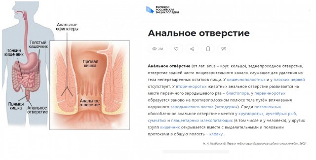 На каждом обеденном столе должна быть такая дырка