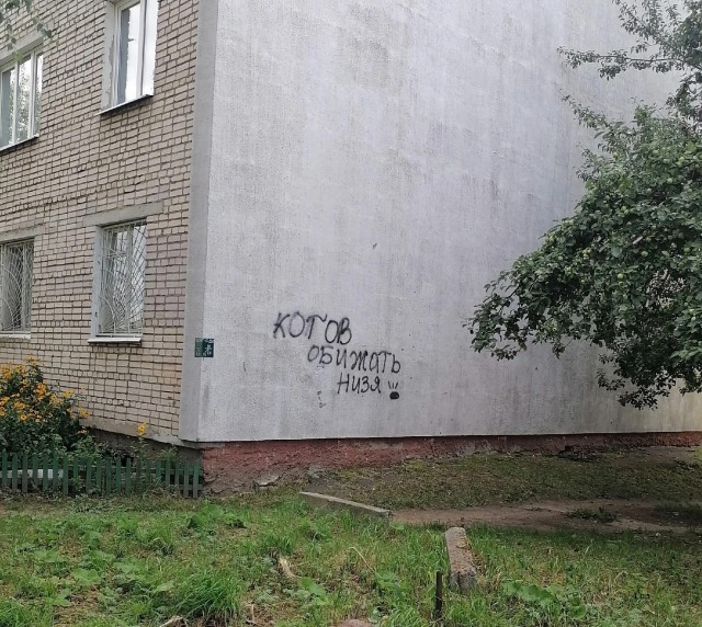 Спасатель котиков