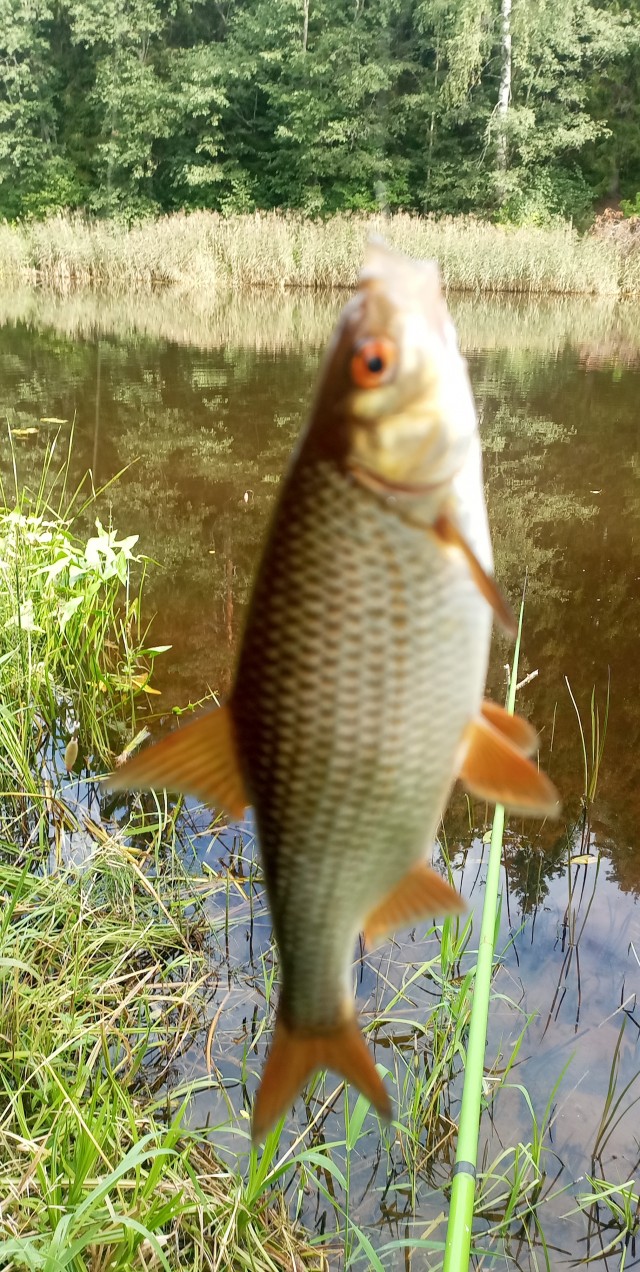 Деревенская "этониуха"!