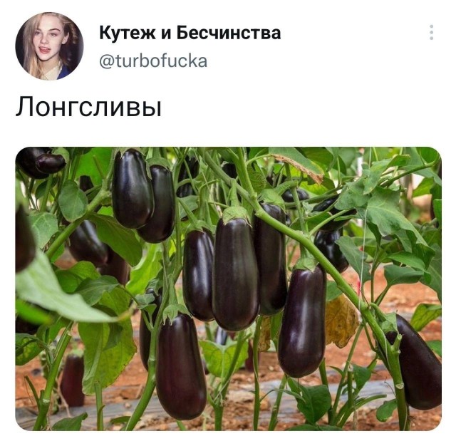 Не очень адекватный юмор