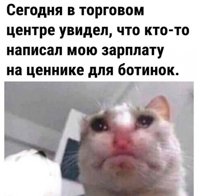 Отряд быстрого деградирования