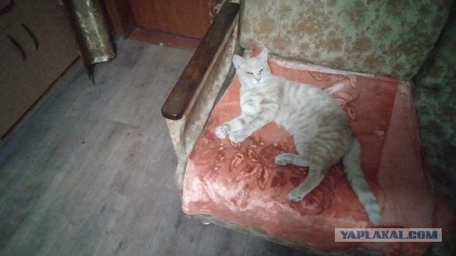 Просыпайся! Вторник же