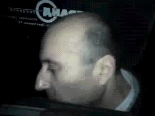 Царь зверей и буйвол