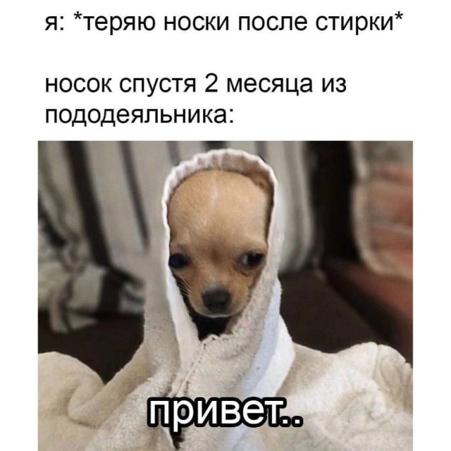 Весёлый полтишок 10.12.24