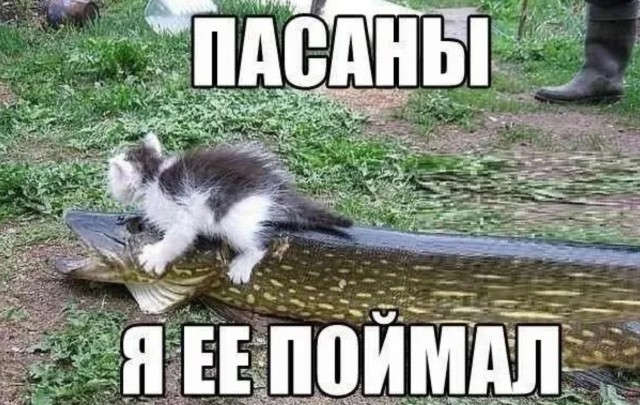 Завалялось тут случайно немного забавных картинок