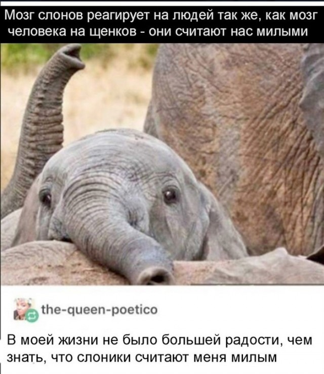 Завалялось тут случайно немного забавных картинок