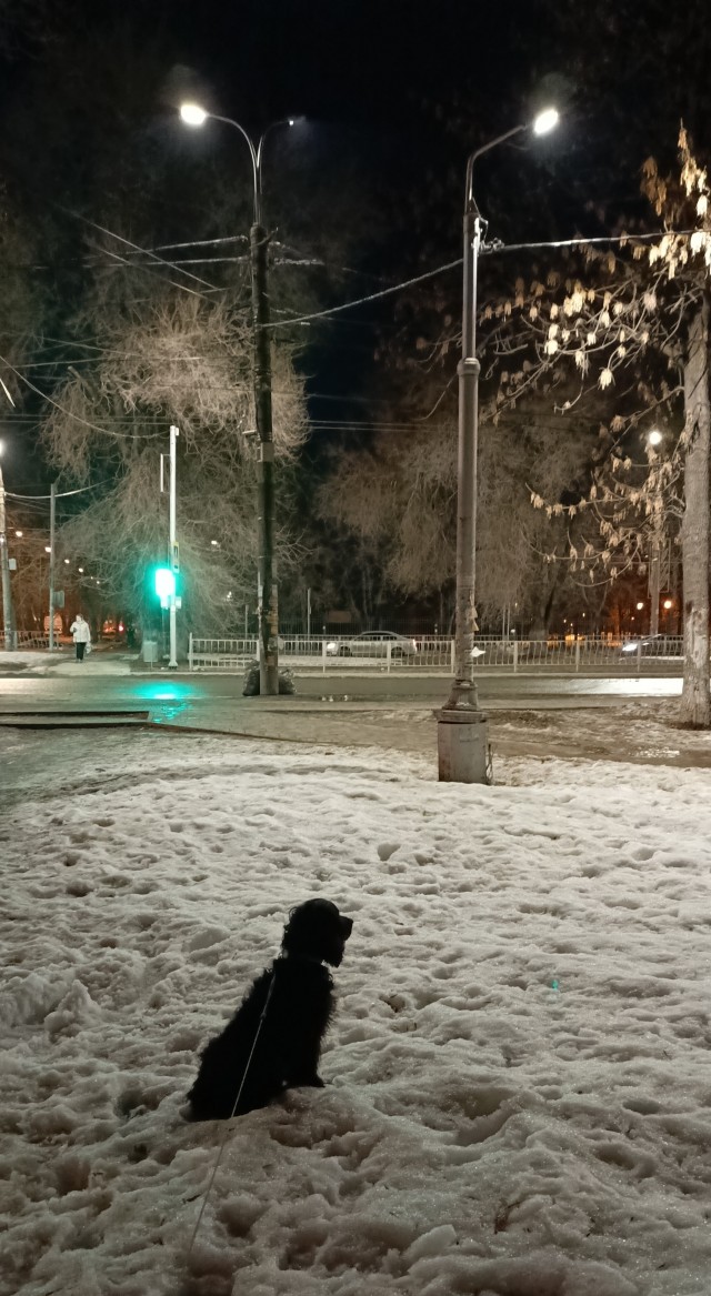 Красивое фото из телефона