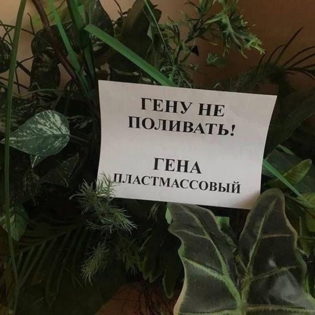 Псто (возможно без баянов)