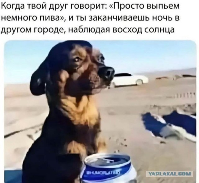 Отсутствие морально этических норм Vol.34
