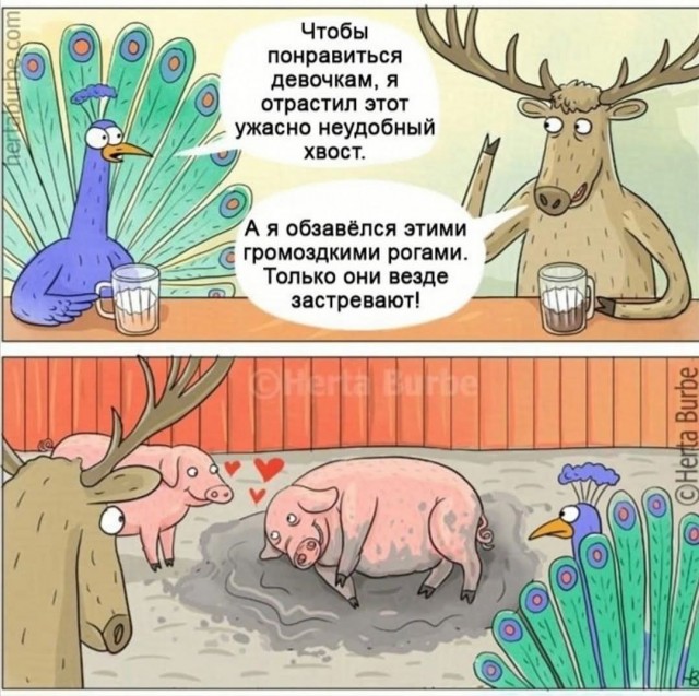 Маленькая пятница 02.07.25