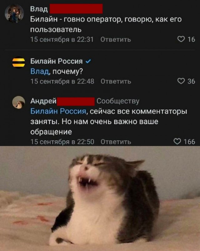 Так себе картинки 03.09.25
