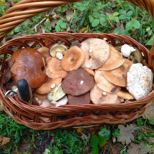 Клуб говорунов (литературный)