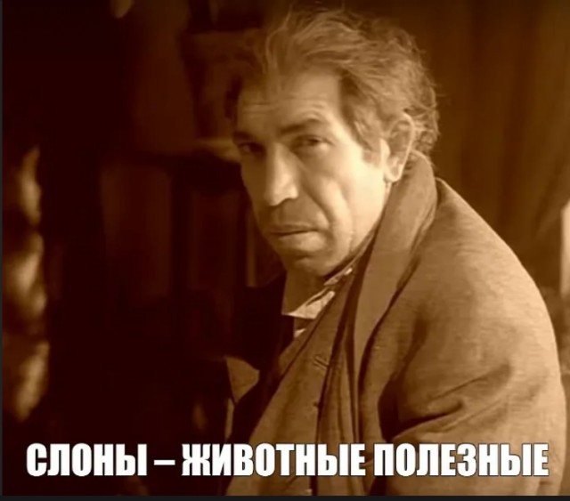 Выбор рожковой кофеварки для дома.