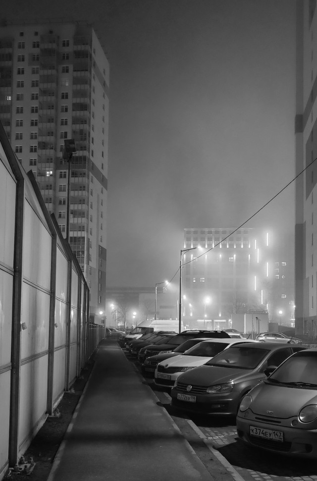 Моя мобильная фотография.