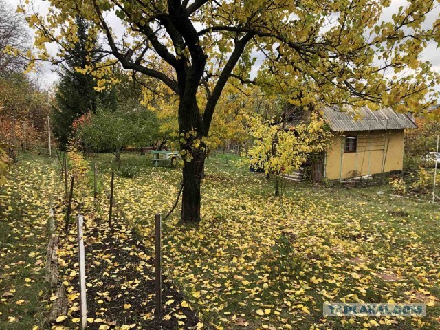 Скорее бы на дачу