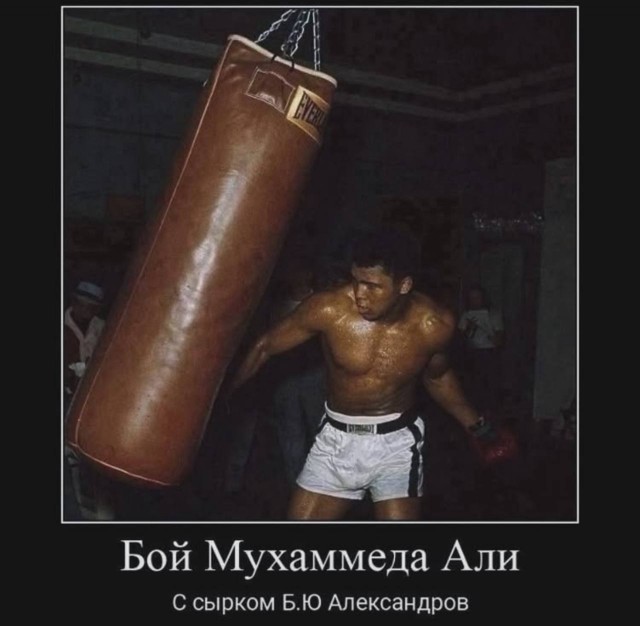 Картинки для деградации 116 (разной степени свежести)