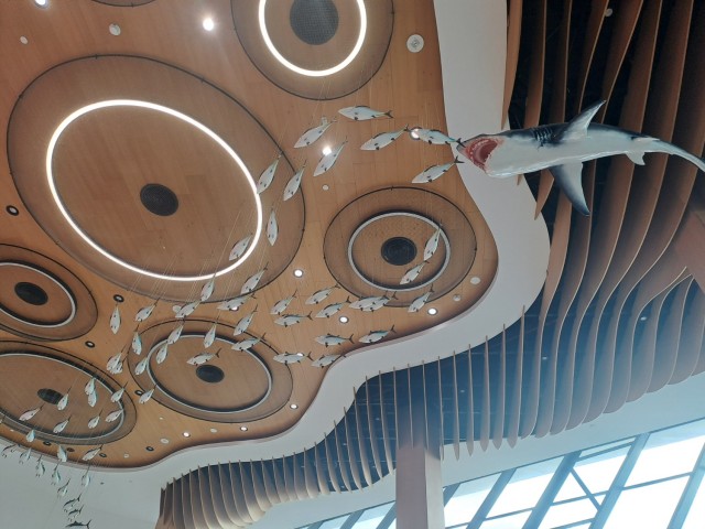 Дубайск в декабре