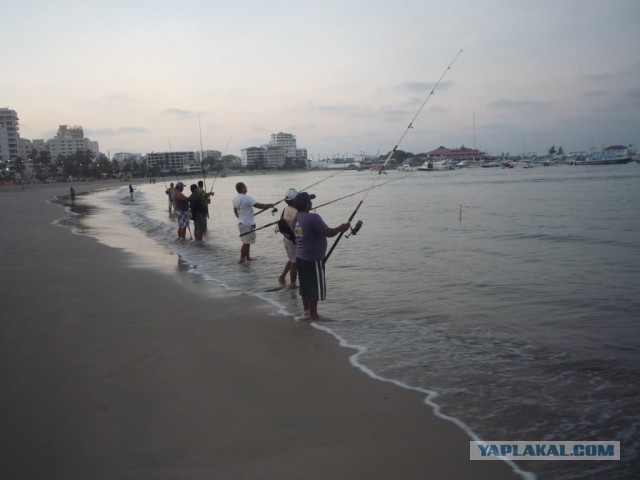 Не Сочи в противовес Египту, Турции и пр