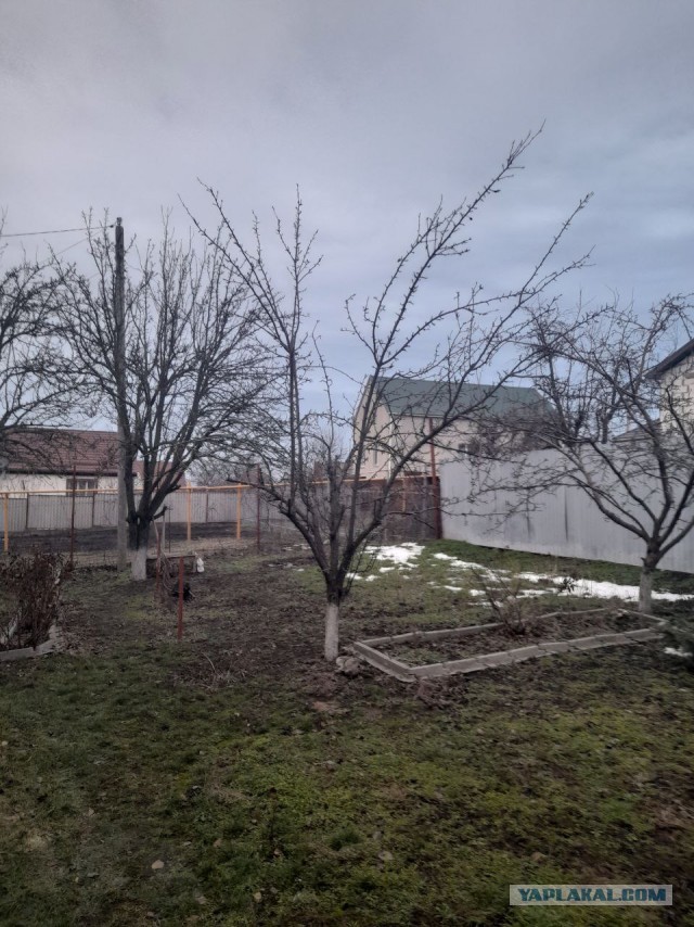 Не дать растаять Снегурчке. Нужна помощь всесильного Япа.