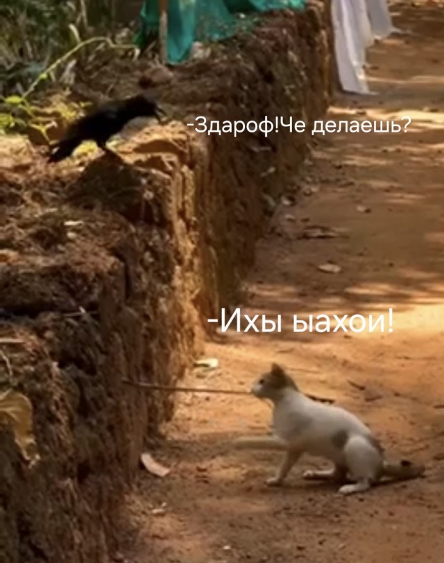 Не повезло червяку