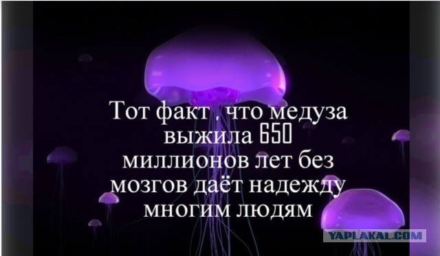 «Мы никому абсолютно не угрожаем». Путин и Лукашенко участвуют в первой совместной ядерной тренировке