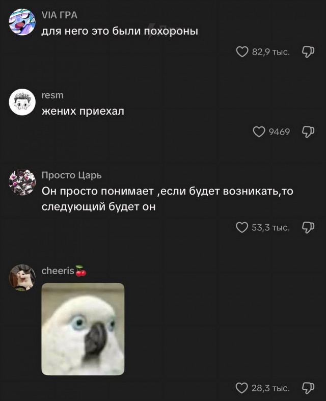У попуга минута молчания