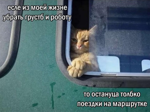 Картинки для деградации 258 ( разной степени свежести)