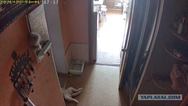 Терпел для вторника