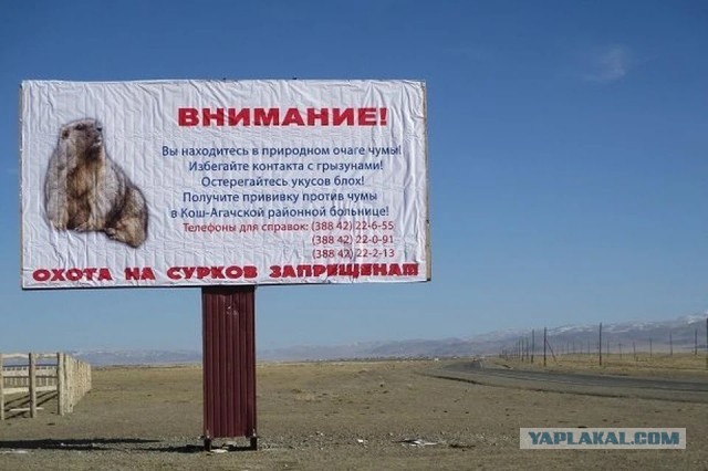 Потемнело...