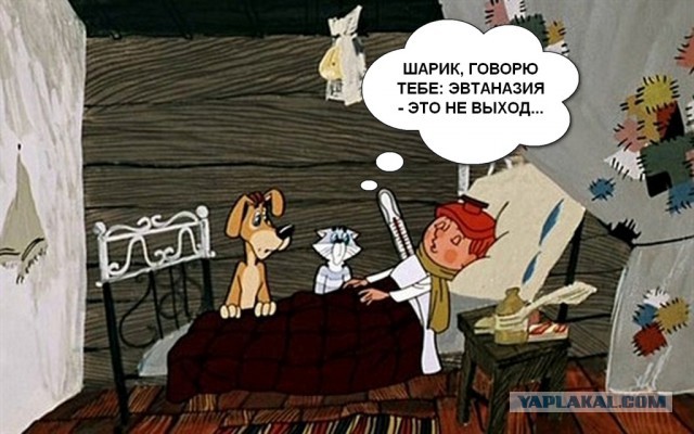 В Простоквашино.